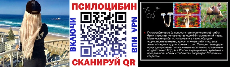 Галлюциногенные грибы Psilocybine cubensis  Макарьев 